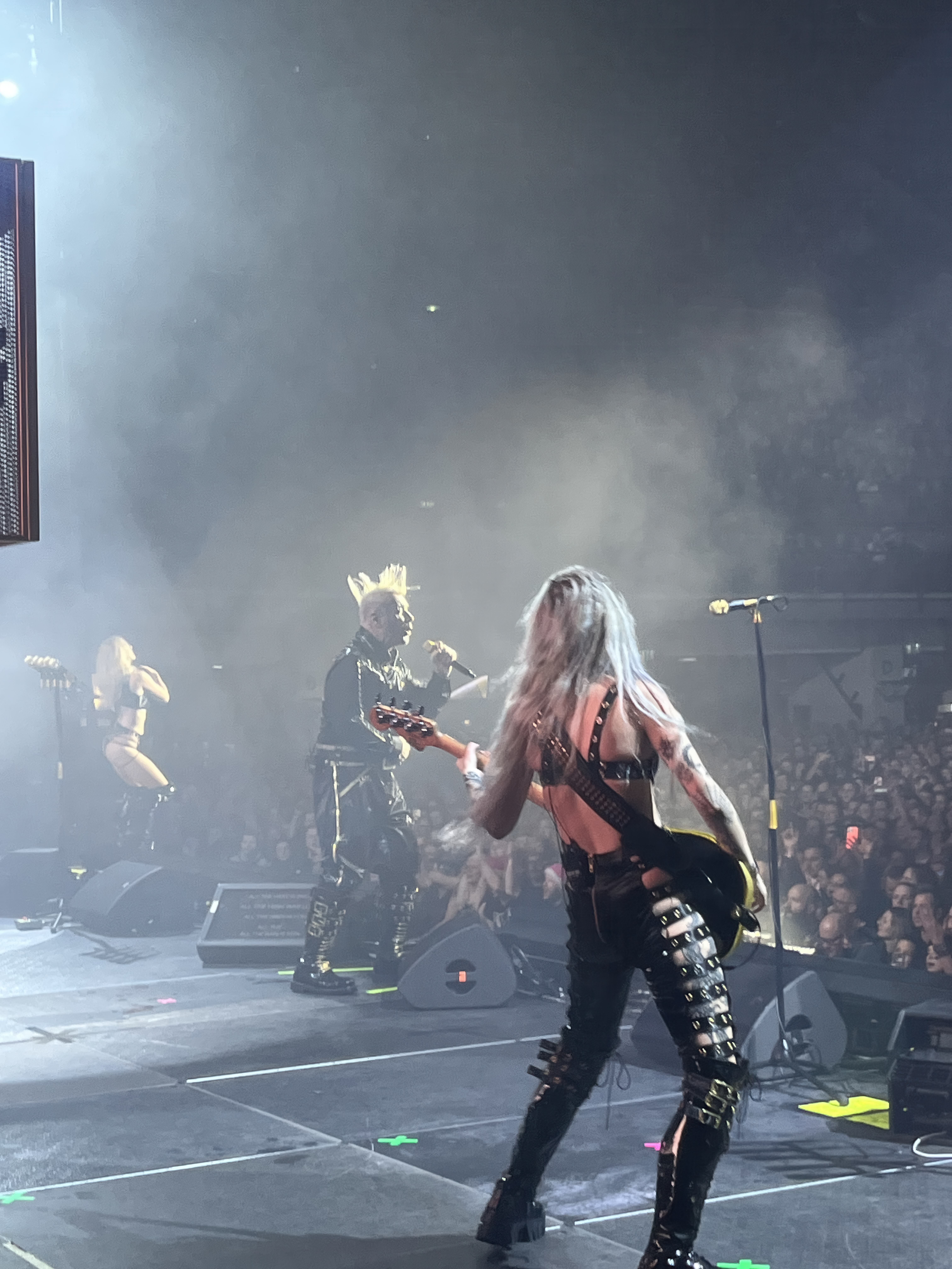 Till Lindemann - Vienna